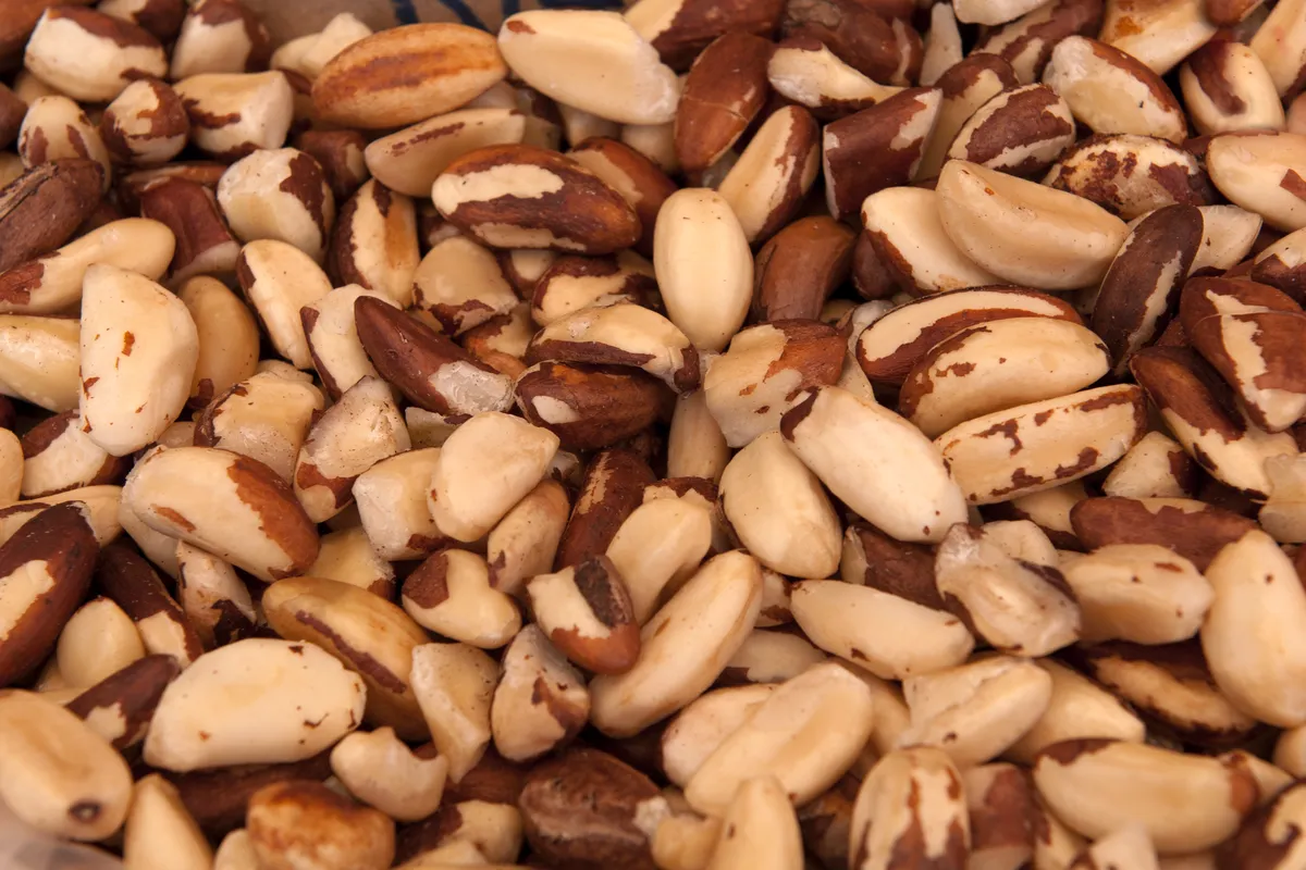 Tree nuts showcase 4