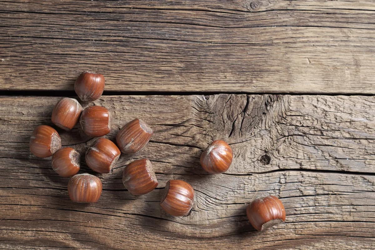 Tree nuts showcase 5